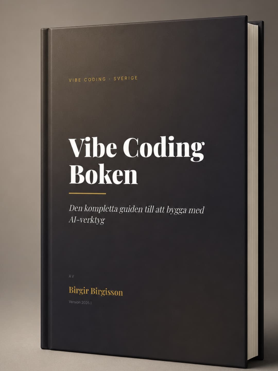 Vibe Coding Boken